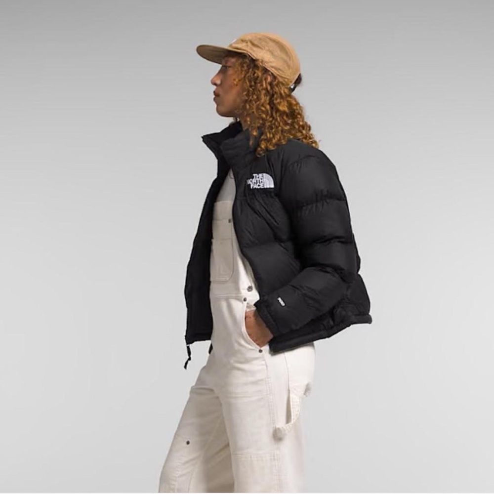 The north face puffer 700